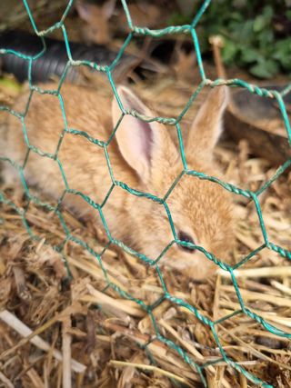 풍요님의 자유주제 · 자유게시판 작성글 사진