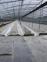 팜모닝 버섯·영농일지 게시글 이미지