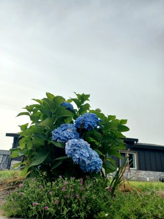 알 수 없음님의 자유주제 · 자유게시판 작성글 사진