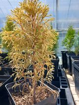 팜모닝 기타작물·병해충상담 게시글 이미지