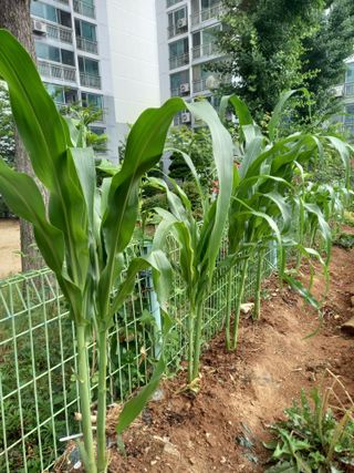 김미화님의 자유주제 · 자유게시판 작성글 사진