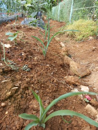 김미화님의 자유주제 · 자유게시판 작성글 사진
