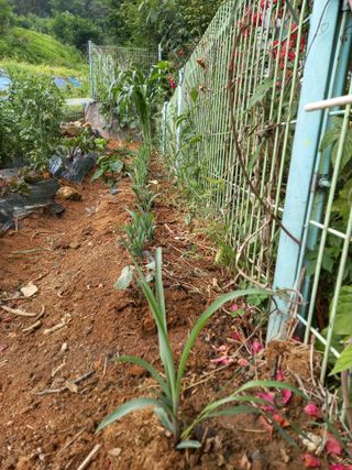 김미화님의 자유주제 · 자유게시판 작성글 사진