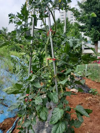 김미화님의 자유주제 · 자유게시판 작성글 사진