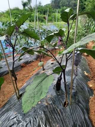 김미화님의 자유주제 · 자유게시판 작성글 사진