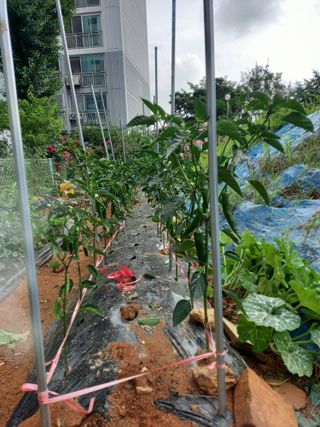 김미화님의 자유주제 · 자유게시판 작성글 사진