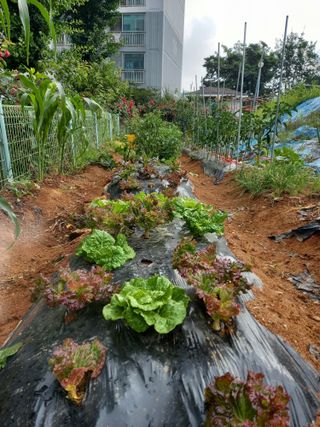 김미화님의 자유주제 · 자유게시판 작성글 사진