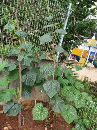 김미화님의 자유주제 · 자유게시판 작성글 사진