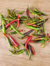 팜모닝 고추·병해충상담 게시글 이미지