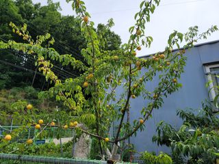 땅땅님의 기타작물 · 자유게시판 작성글 사진