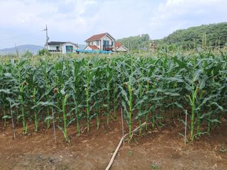 임기석님의 작성글 사진