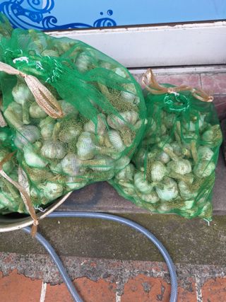 이문식님의 👩🏻‍🌾7월 농작업 계획 · 참여글 작성글 사진