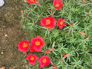 음악사랑님의 자유주제 · 자유게시판 작성글 사진