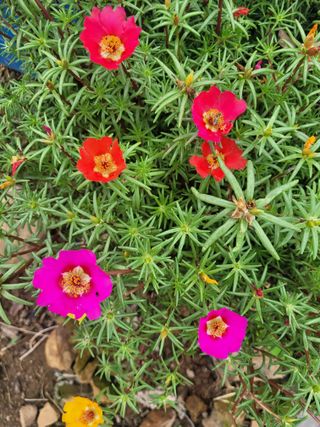 음악사랑님의 자유주제 · 자유게시판 작성글 사진