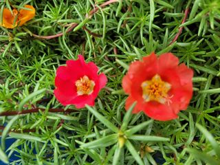 음악사랑님의 자유주제 · 자유게시판 작성글 사진