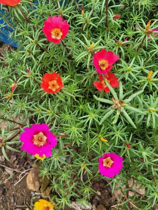 음악사랑님의 자유주제 · 자유게시판 작성글 사진