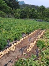 팜모닝 👩🏻‍🌾7월 농작업 계획·참여글 게시글 이미지
