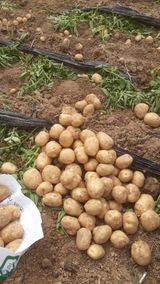 팜모닝 👩🏻‍🌾7월 농작업 계획·참여글 게시글 이미지