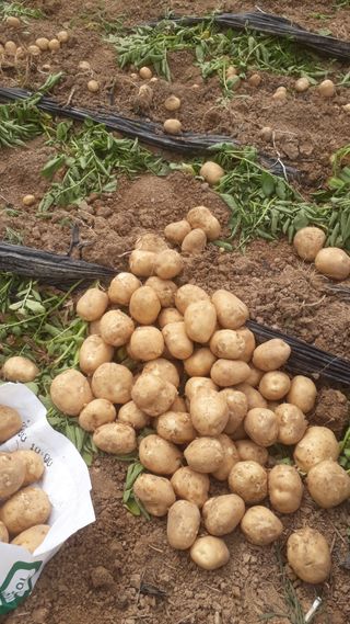 성훈농장님의 👩🏻‍🌾7월 농작업 계획 · 참여글 작성글 사진