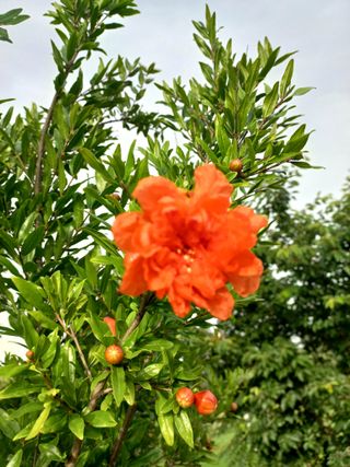 알 수 없음님의 자유주제 · 자유게시판 작성글 사진