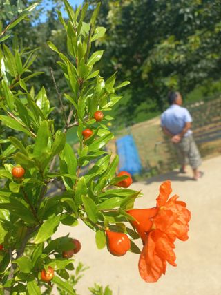 알 수 없음님의 자유주제 · 자유게시판 작성글 사진