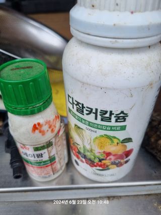 꿈사랑님의 복숭아 · 영농일지 작성글 사진