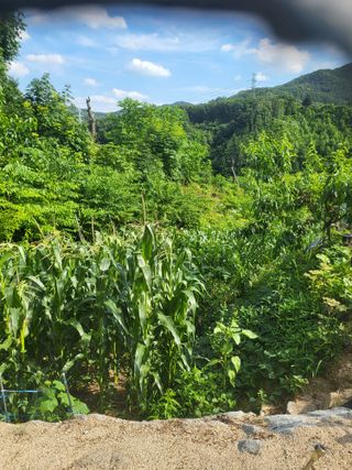 남병목님의 👩🏻‍🌾7월 농작업 계획 · 참여글 작성글 사진