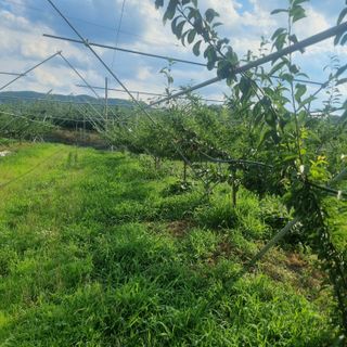 황대규님의 작성글 사진