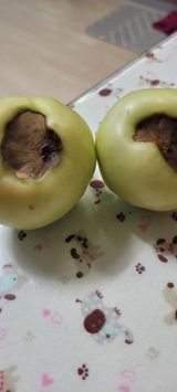 팜모닝 농사, 무엇이든 물어보세요!·참여글 게시글 이미지