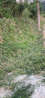 팜모닝 자유주제·자유게시판 게시글 이미지