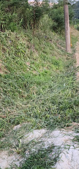 나으살던고향님의 자유주제 · 자유게시판 작성글 사진