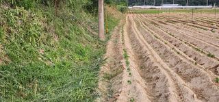 나으살던고향님의 자유주제 · 자유게시판 작성글 사진