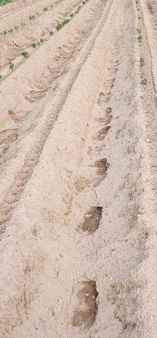 나으살던고향님의 자유주제 · 자유게시판 작성글 사진