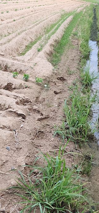 나으살던고향님의 자유주제 · 자유게시판 작성글 사진