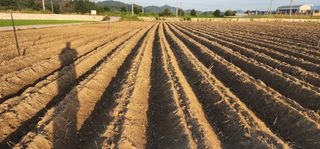 나으살던고향님의 자유주제 · 자유게시판 작성글 사진