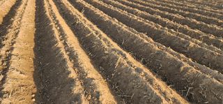 나으살던고향님의 자유주제 · 자유게시판 작성글 사진