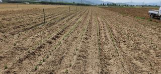 나으살던고향님의 자유주제 · 자유게시판 작성글 사진