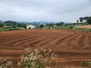 허준호님의 콩 · 영농일지 작성글 사진