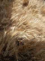 팜모닝 자유주제·자유게시판 게시글 이미지