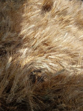 최광순님의 자유주제 · 자유게시판 작성글 사진