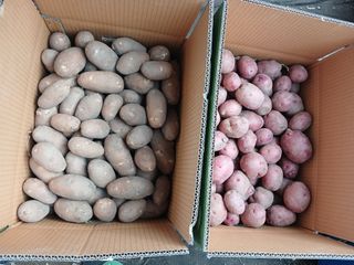 최광순님의 자유주제 · 자유게시판 작성글 사진