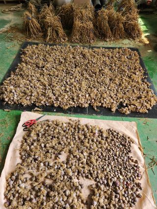 갑돌이님의 자유주제 · 자유게시판 작성글 사진