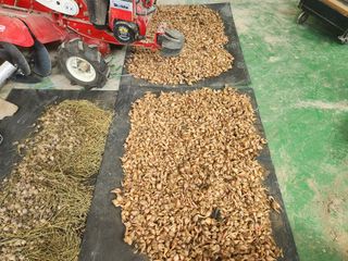 갑돌이님의 자유주제 · 자유게시판 작성글 사진