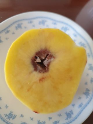 황새봉님의 감자 · 병해충상담 작성글 사진