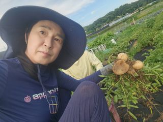 스마일00님의 감자 · 영농일지 작성글 사진