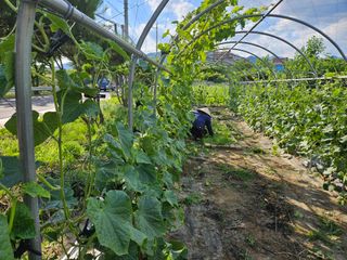 남옥선님의 자유주제 · 자유게시판 작성글 사진