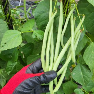 남옥선님의 자유주제 · 자유게시판 작성글 사진