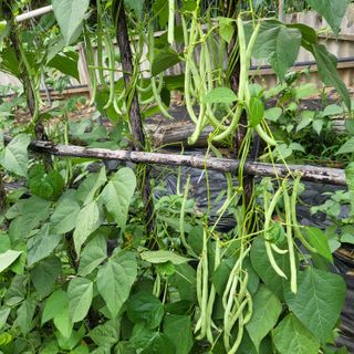 남옥선님의 자유주제 · 자유게시판 작성글 사진