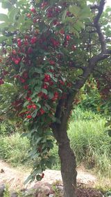 팜모닝 자유주제·자유게시판 게시글 이미지