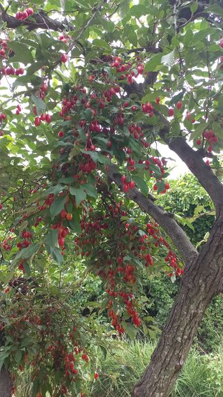 이종한님의 자유주제 · 자유게시판 작성글 사진